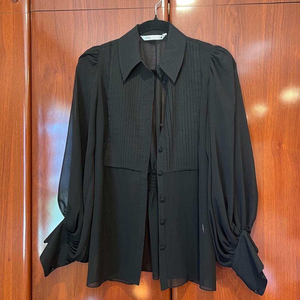 Zara Elegant sheer Black Blouse